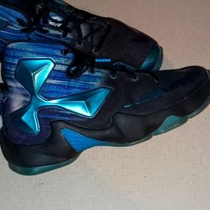 Labron 12 hornets